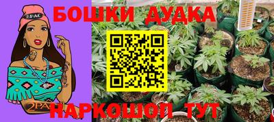 гидропоника Старая Купавна