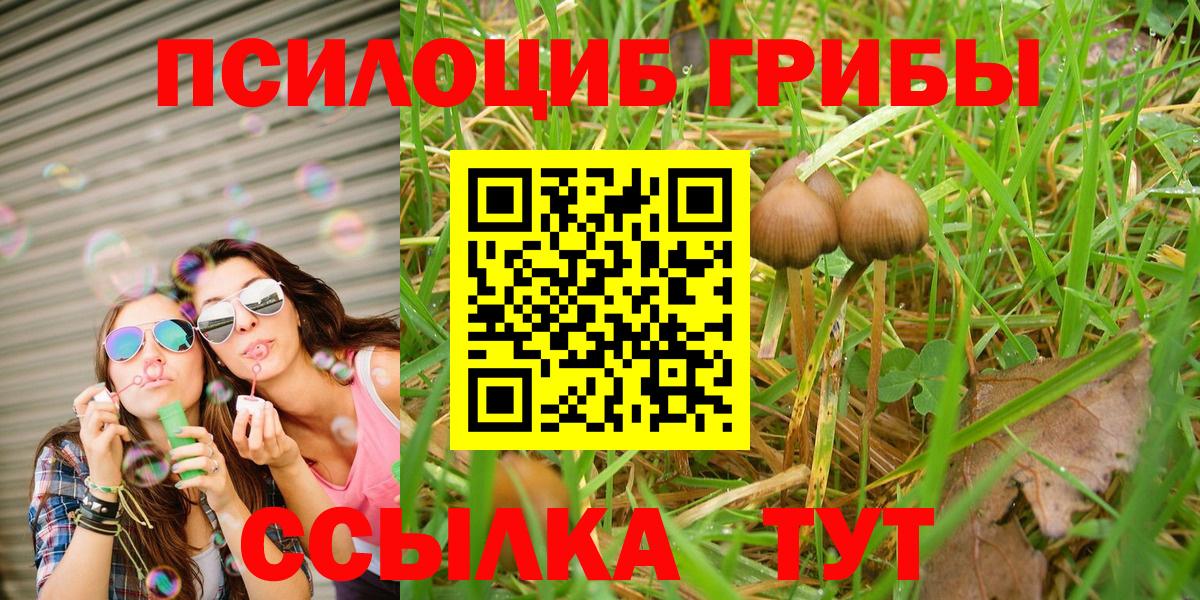 Псилоцибиновые грибы Magic Shrooms Богородск